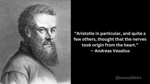 Andreas Vesalius Quotes