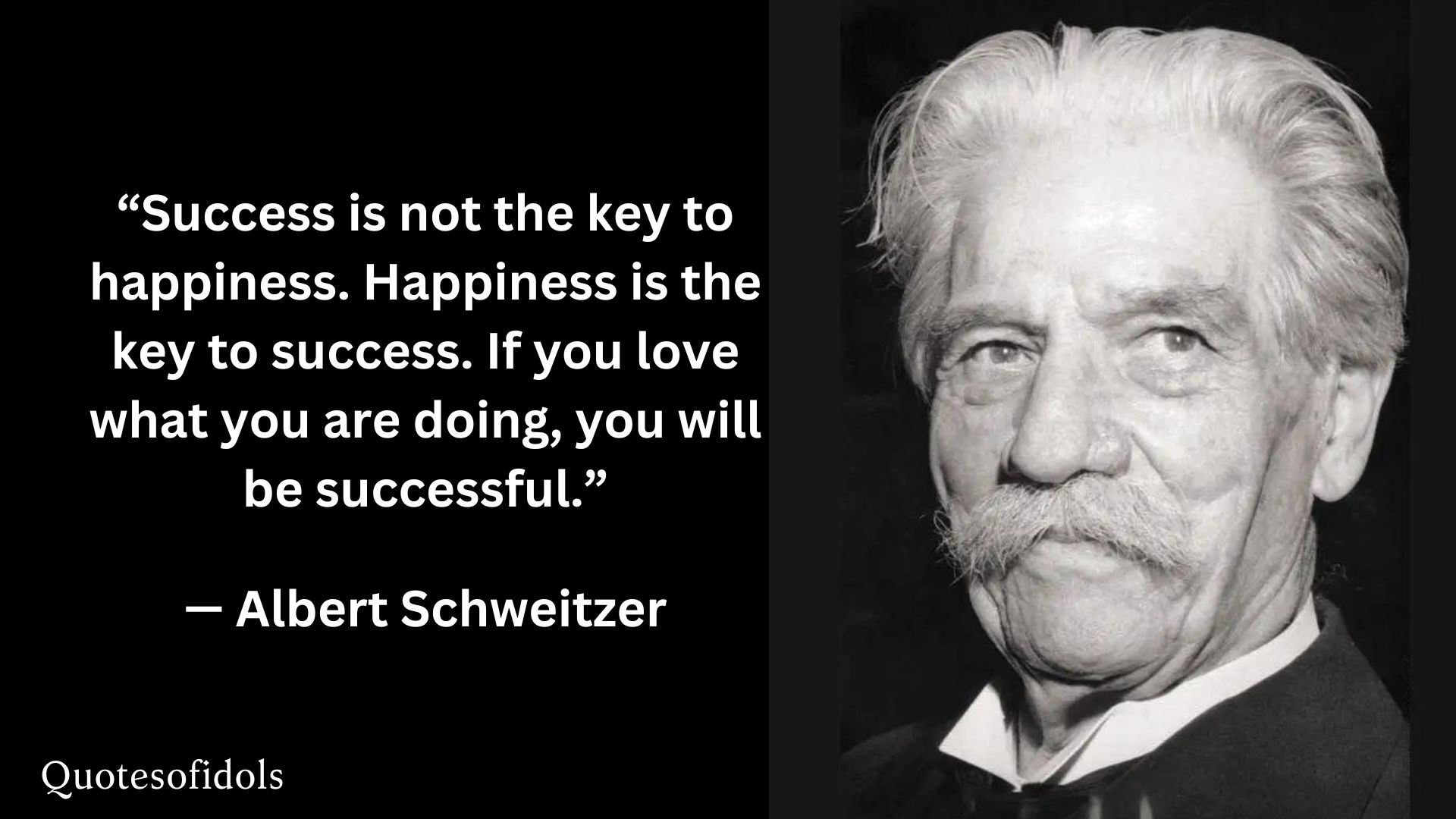 Albert Schweitzer Quotes