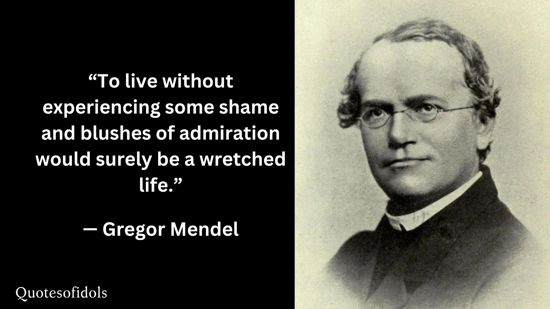 Gregor Mendel Quotes